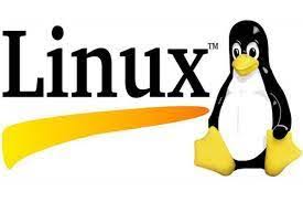 Linux Penguin