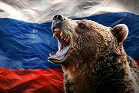 Russian Network Bear